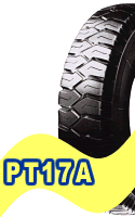 PT17A