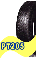 PT205