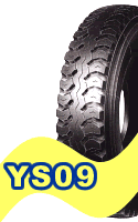 YS09